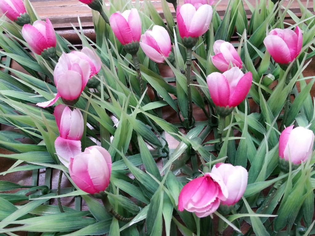 Pink Tulip Hotel Ciudad Ho Chi Minh  Exterior foto